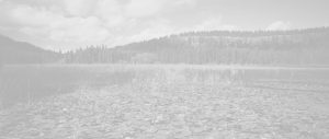 Coeur d'Alene tribe services